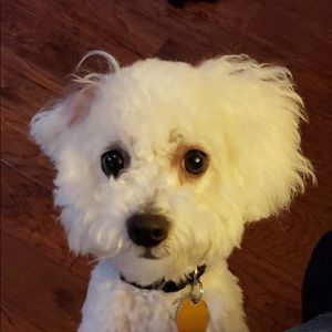 Meet your Posher, Conrad